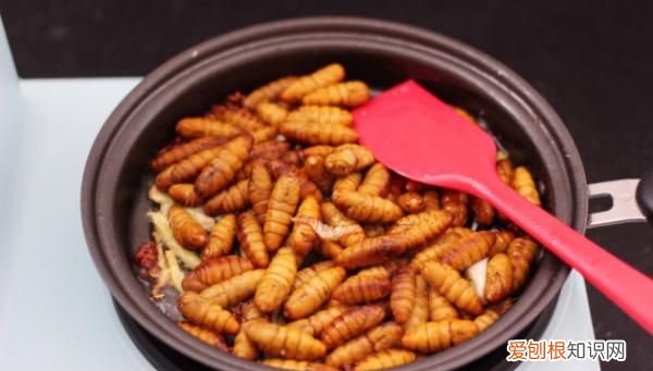 炒蚕蛹怎么做,炒蚕蛹怎样做