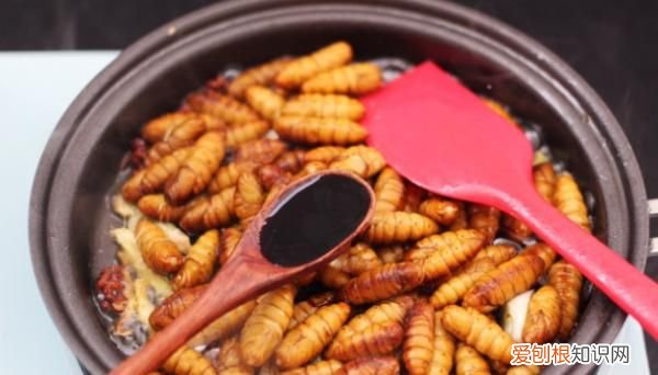 炒蚕蛹怎么做,炒蚕蛹怎样做