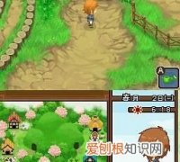 牧场物语双子村卡米尔