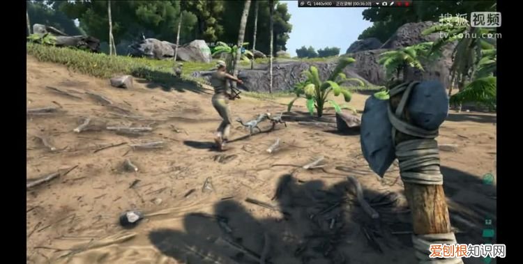 方舟生存進(jìn)化怎么加模組手機(jī)版，方舟生存進(jìn)化有什么好玩的模組