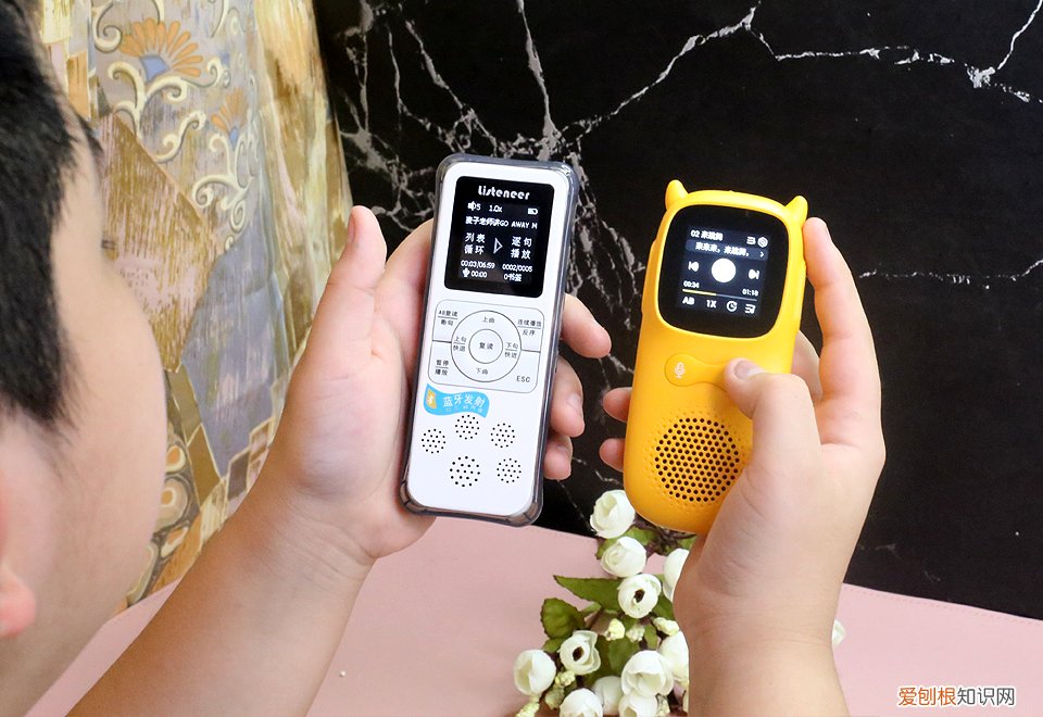 mp3复读机哪种适合高中生?评测两款性价比之王,学英语这样才更高效!