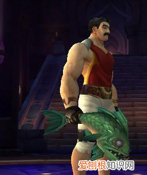 臭烂碎击者 怎么获得,魔兽世界臭烂的击碎者海盗那个图出