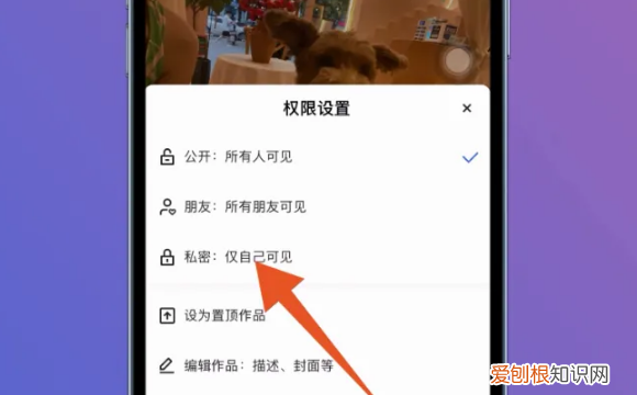 快手咋地才能隐藏作品,快手隐藏作品怎么操作