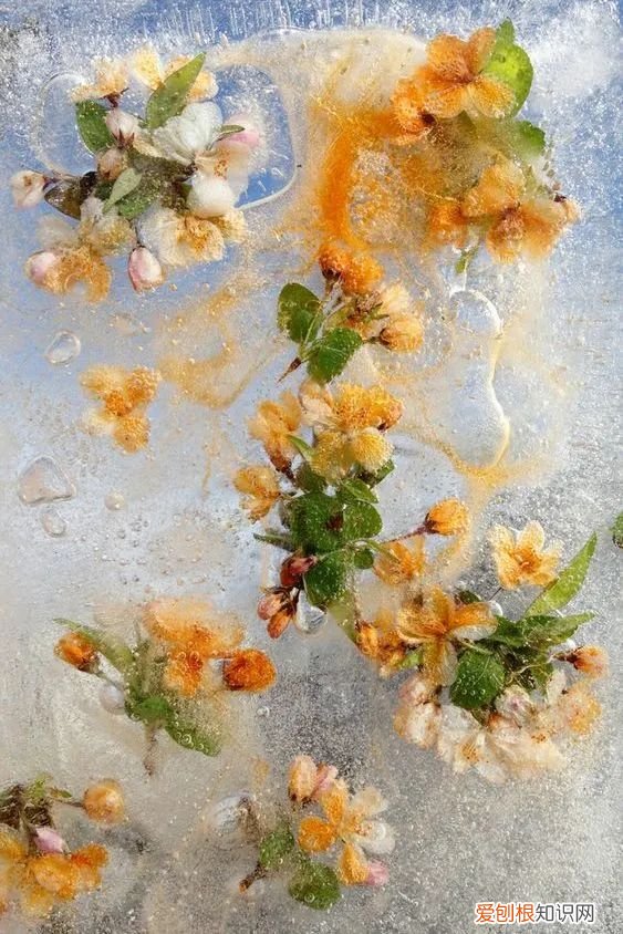 雅诗兰黛欢沁香水味道怎么样？味道好闻的平价香水推荐大全