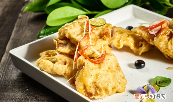 外酥里嫩的锅包肉的制作方法,锅包肉的做法 最正宗的做法视频