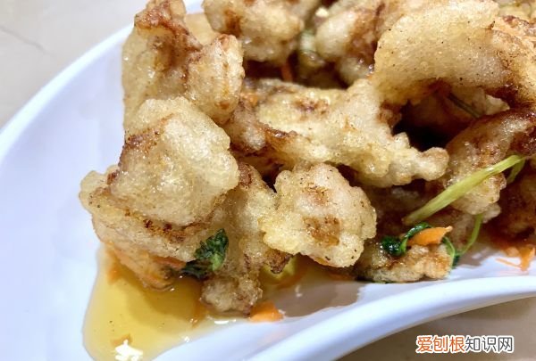 外酥里嫩的锅包肉的制作方法,锅包肉的做法 最正宗的做法视频