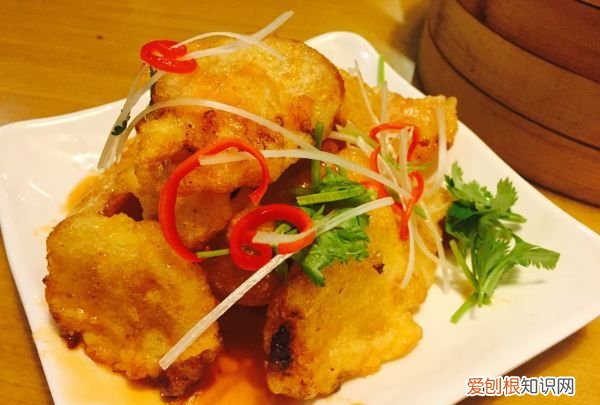 外酥里嫩的锅包肉的制作方法,锅包肉的做法 最正宗的做法视频