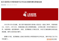 妻子坠亡 高校原书记被批捕