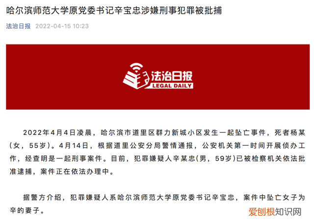 妻子坠亡 高校原书记被批捕