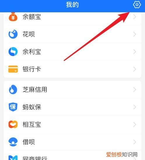 支付宝里隐藏评价怎么看,支付宝的设置在哪里可以看到