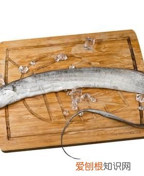 带鱼放冰箱可以放多久,炸好的带鱼放冰箱可以放多久