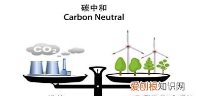 碳十三和碳十四的区别,考研数学一二三的区别有哪位大神知道