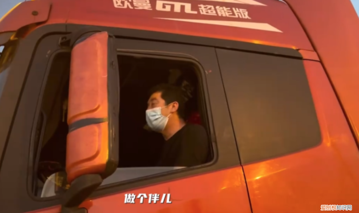 滞沪司机吃10天泡面喂副驾爱犬鸡蛋