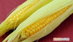 玉米是熟冻好还是生冻好，玉米是煮熟后冻好还是生的冻好