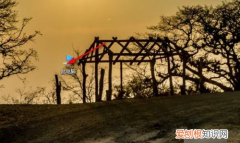 怎么设置显示文件后缀名，文件后缀隐藏了怎么显示出来