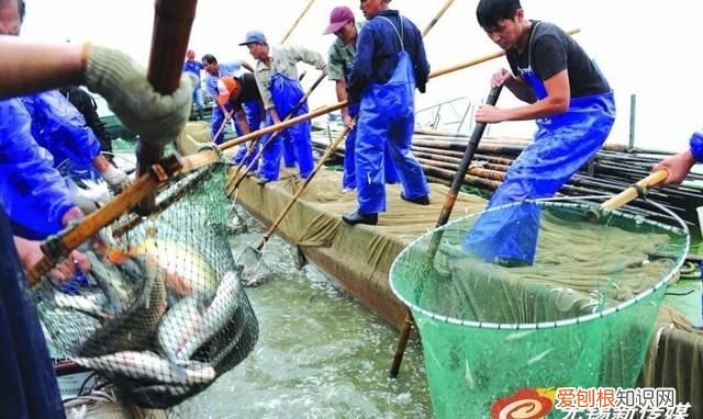 无锡太湖开捕时间2021