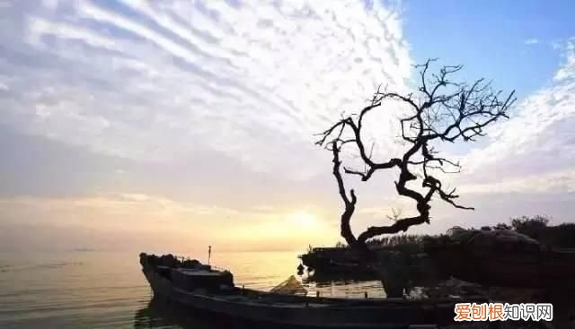 无锡太湖开捕时间2021