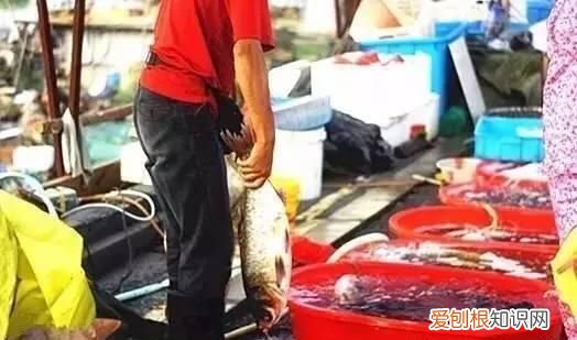 无锡太湖开捕时间2021