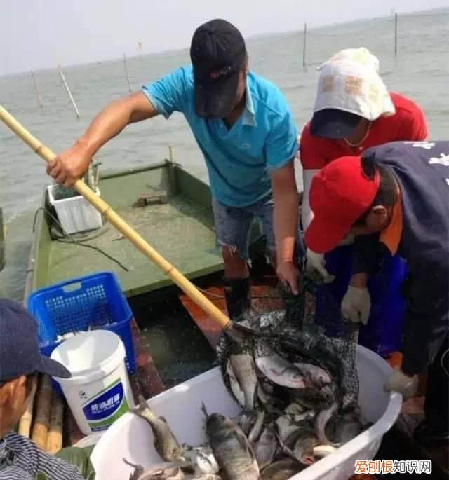 无锡太湖开捕时间2021