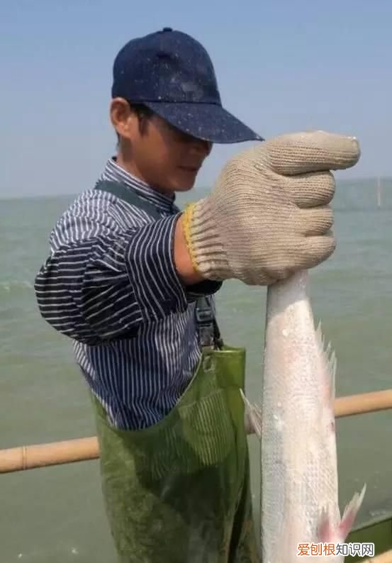 无锡太湖开捕时间2021