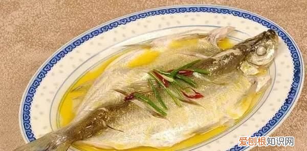 无锡太湖开捕时间2021