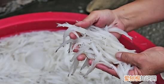 无锡太湖开捕时间2021