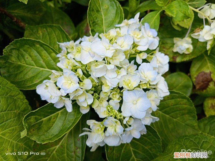 极致的轻薄体验，这三款手机让你时刻轻松“掌握”