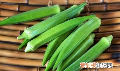 秋葵有虫子还能吃吗，秋葵叶子上长满了黑色小点的虫子怎么办