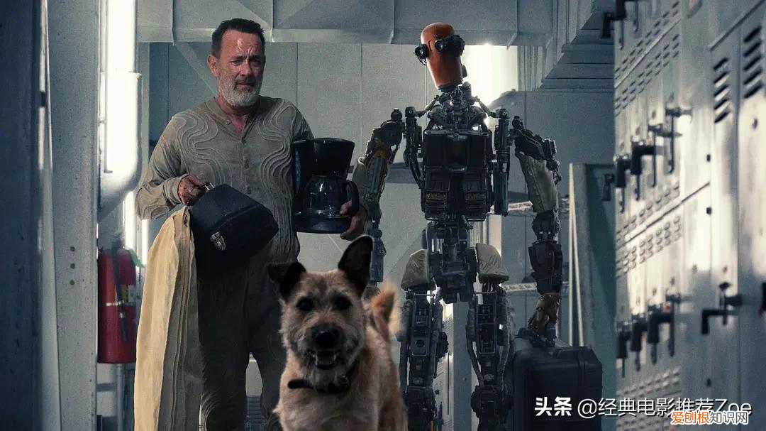 最好看的电影推荐