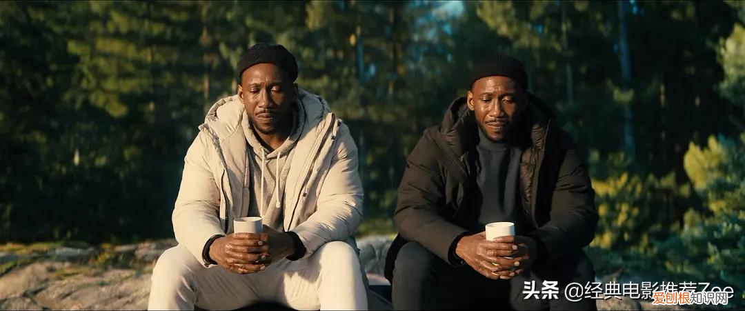 最好看的电影推荐