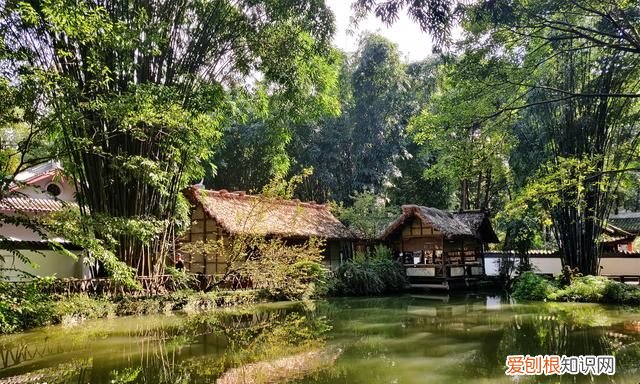 去成都旅游自由行攻略最新 去成都玩的地方