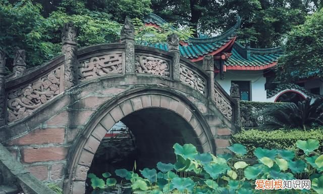 去成都旅游自由行攻略最新 去成都玩的地方