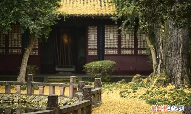 去成都旅游自由行攻略最新 去成都玩的地方