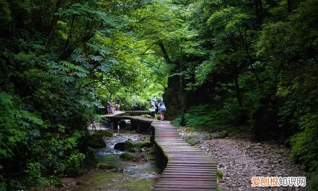 去成都旅游自由行攻略最新 去成都玩的地方