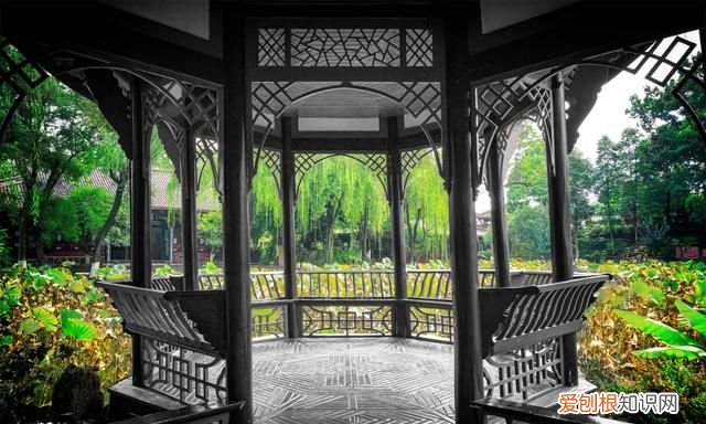 去成都旅游自由行攻略最新 去成都玩的地方