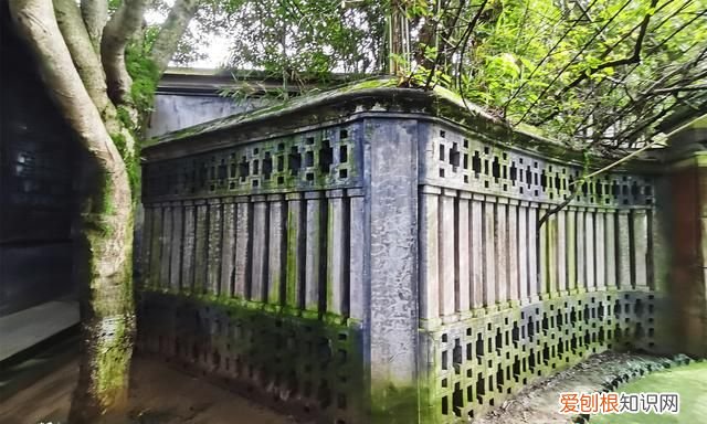 去成都旅游自由行攻略最新 去成都玩的地方