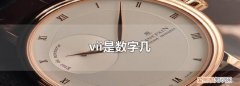 VI这个是什么数字，v和vi代表数字几啊