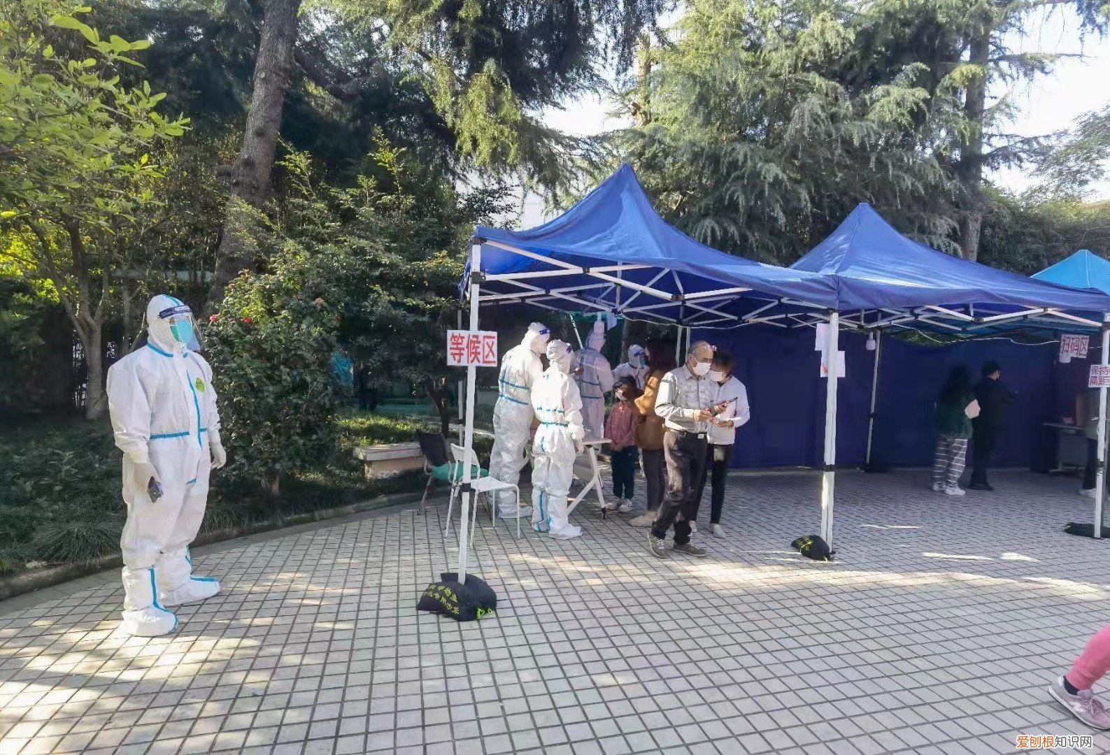 上海全市核酸筛查现场