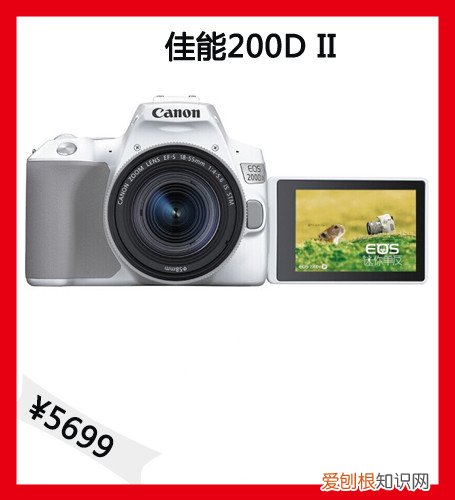 入门单反相机推荐