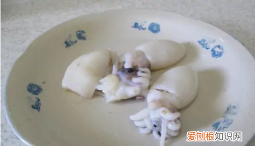 墨鱼怎么做好吃，墨鱼如何做好吃又简单