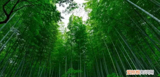 杭州最美二十一个景点推荐