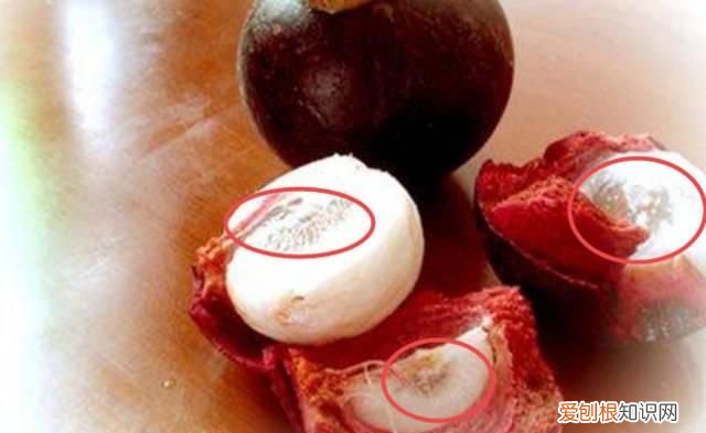 山竹的核能不能种，山竹中间的核能吃吗