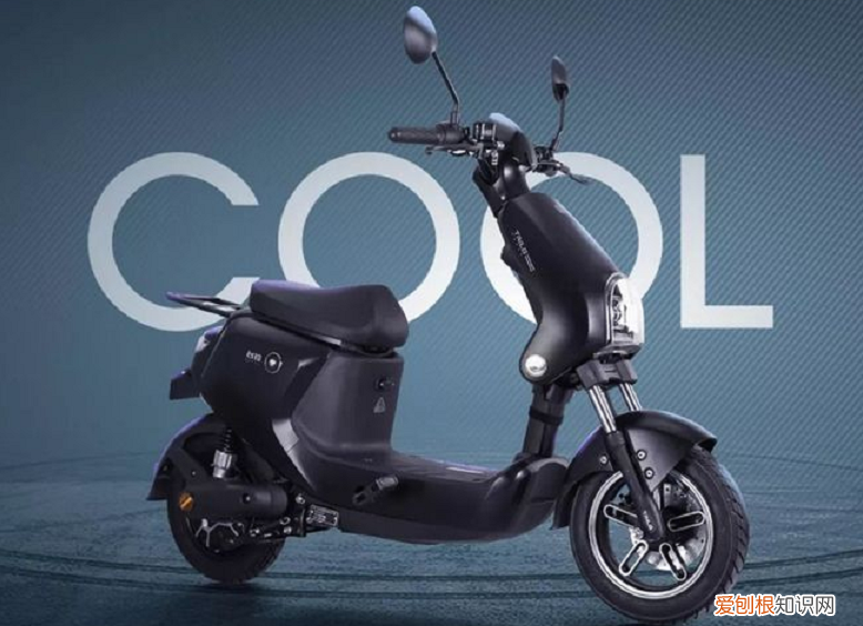 买电动车，选哪个品牌好