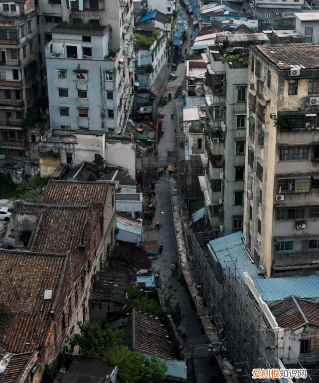 ios14相机有什么新功能,苹果iphone14 max 首曝颜值有点高