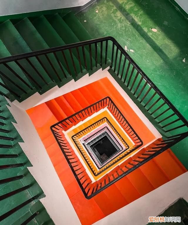 ios14相机有什么新功能,苹果iphone14 max 首曝颜值有点高