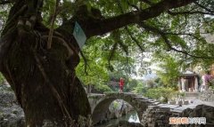 广西十大最美古镇排名,广西适合一个人发呆的古镇