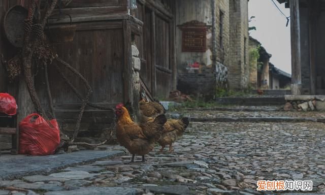 广西十大最美古镇排名,广西适合一个人发呆的古镇