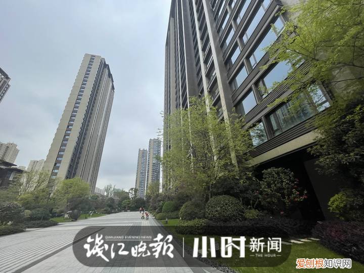 小区网红裸背拍照宝妈担心带坏孩子