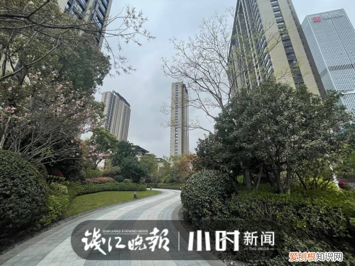 小区网红裸背拍照宝妈担心带坏孩子