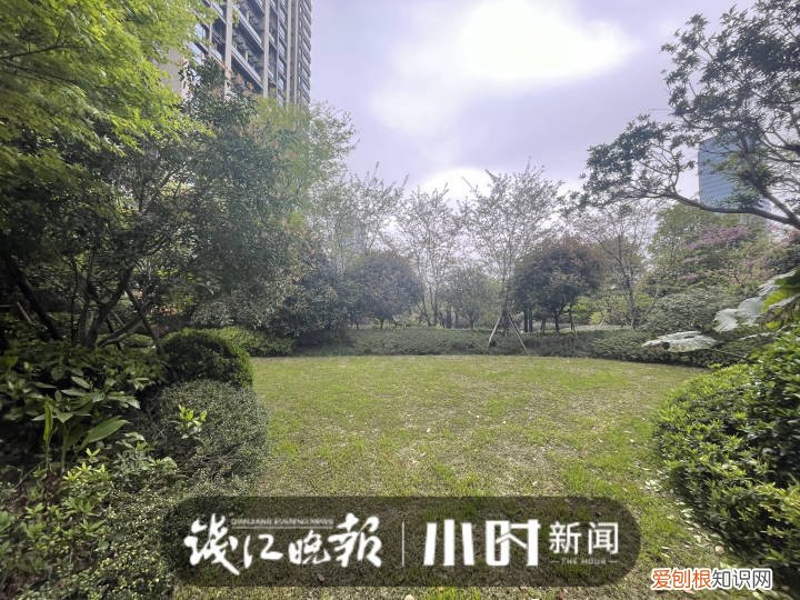 小区网红裸背拍照宝妈担心带坏孩子